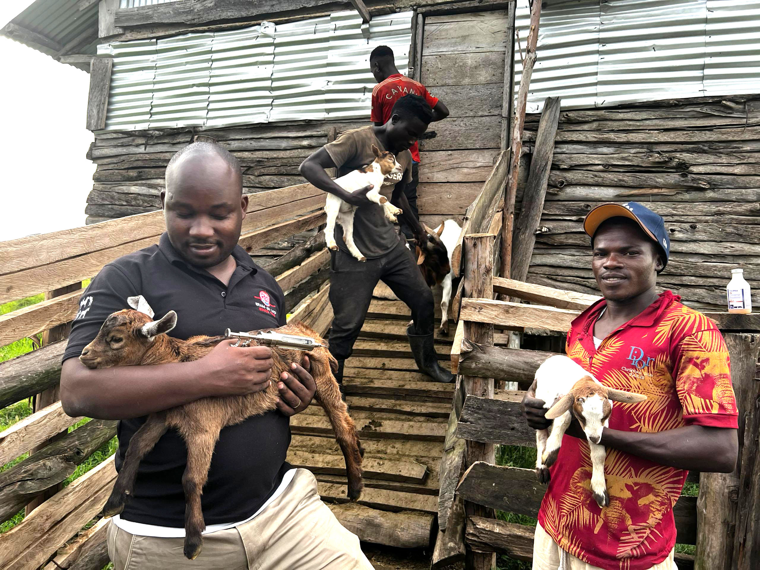 A legacy of quality and farmer-centered veterinary care